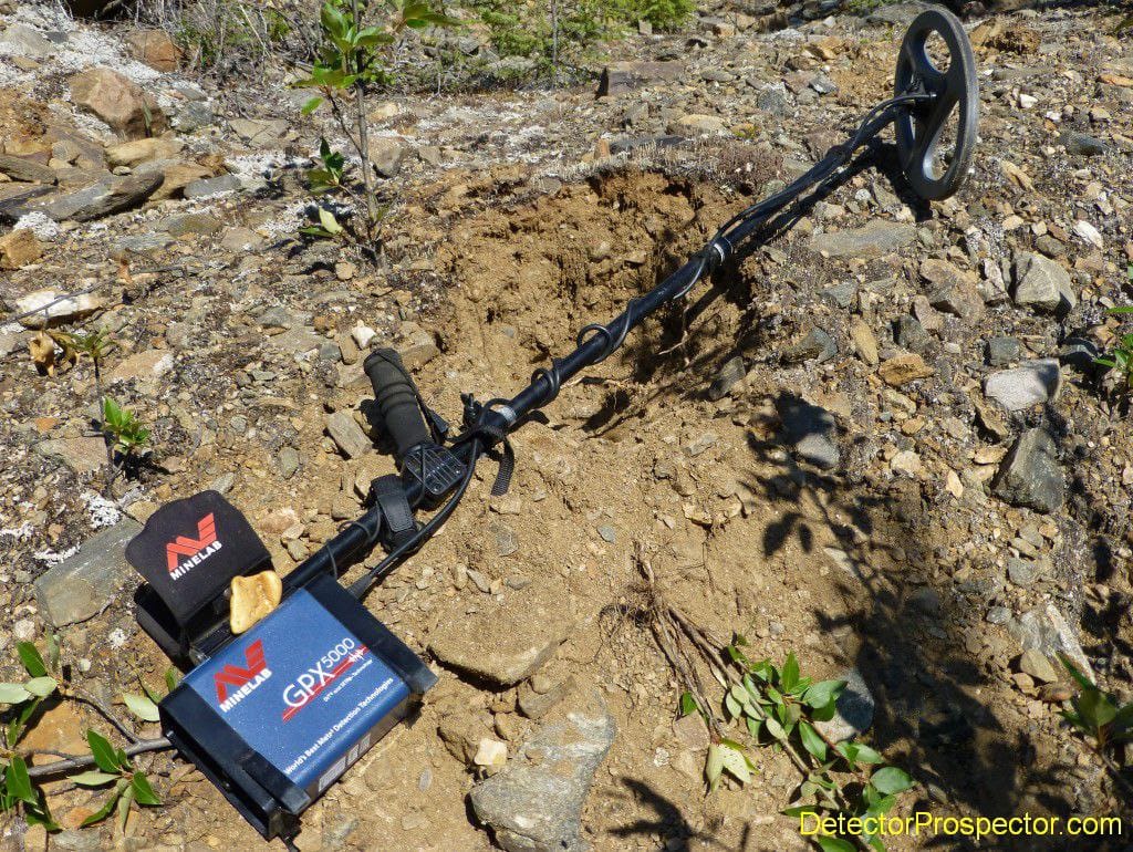 IMG_20250829_060426_786 خرید فلزیاب Minelab GPX 5000 (اورجینال استرالیا) | اسطوره عمقزنی طلا - موسوی آفیشیال