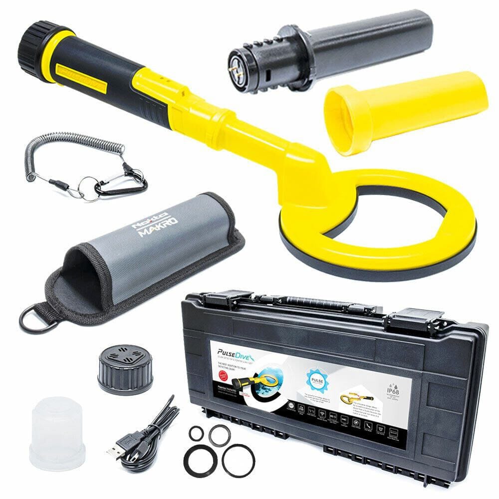 photo_1_2025-10-06_05-08-24 فلزیاب نوکتا پالس دایو | Nokta Pulse Dive – حرفهای برای کاوشگران - موسوی آفیشیال