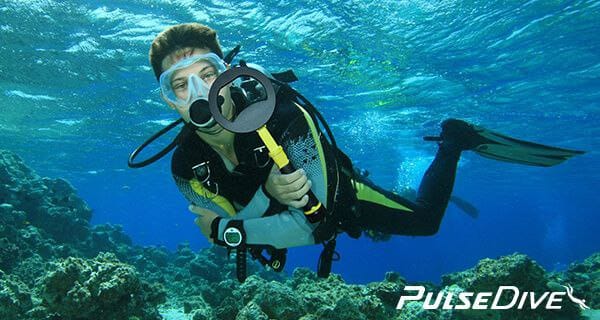 photo_6_2025-10-06_05-08-24 فلزیاب نوکتا پالس دایو | Nokta Pulse Dive – حرفهای برای کاوشگران - موسوی آفیشیال