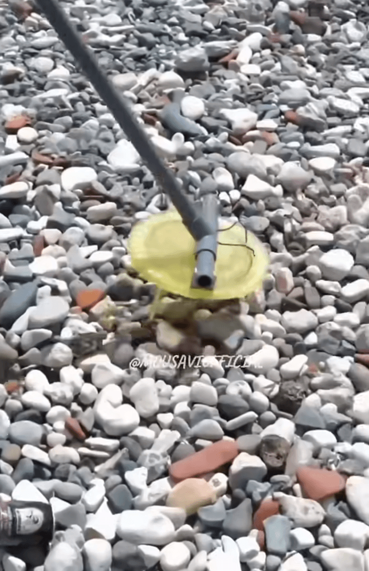 آموزش ساخت فلزیاب دست ساز با رزین و سیم مسی - موسوی آفیشیال تست میدانی فلزیاب خانگی